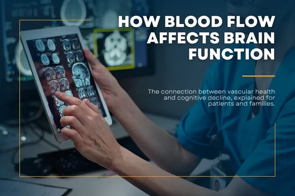 How Blood Flow Affects Brain Function