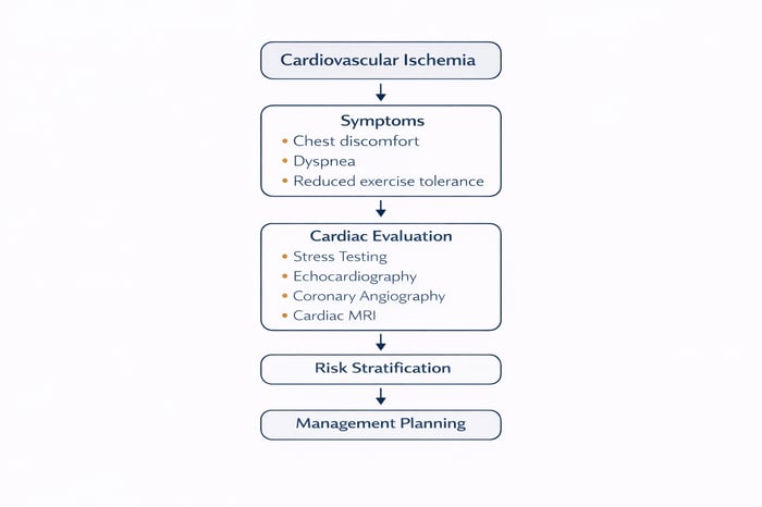 How Cardiovascular Ischemia Is Diagnosed flowchart