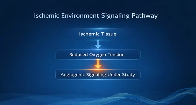Ischemic signaling pathway Ischemic signaling pathway