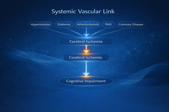 Systemic Vascular Link