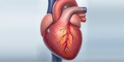 heart-400x200